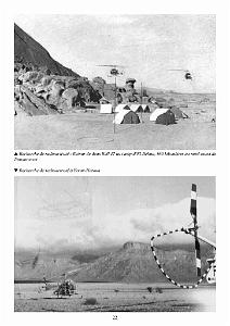 611 GYRAFRIQUE_000026
